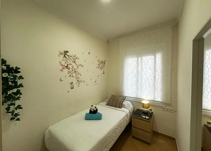 Nuevo Valenci Barcelona